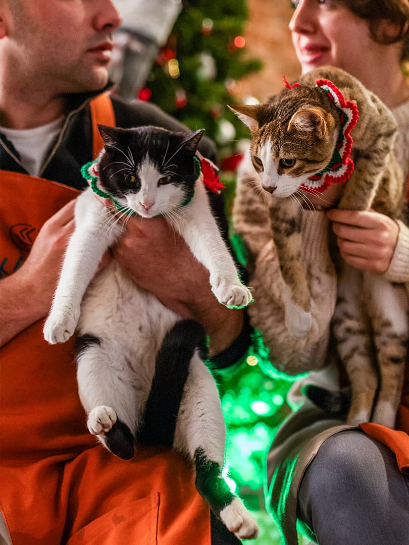 KENAZ KAFE - Image 2-3