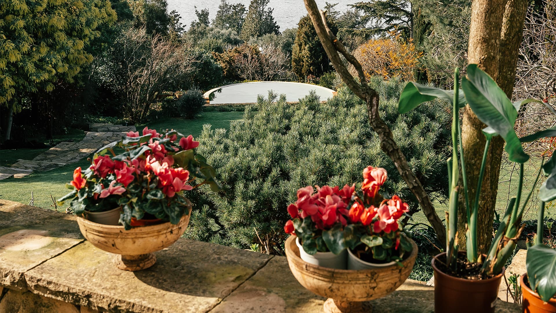 SEDEF ADASI - Image 6