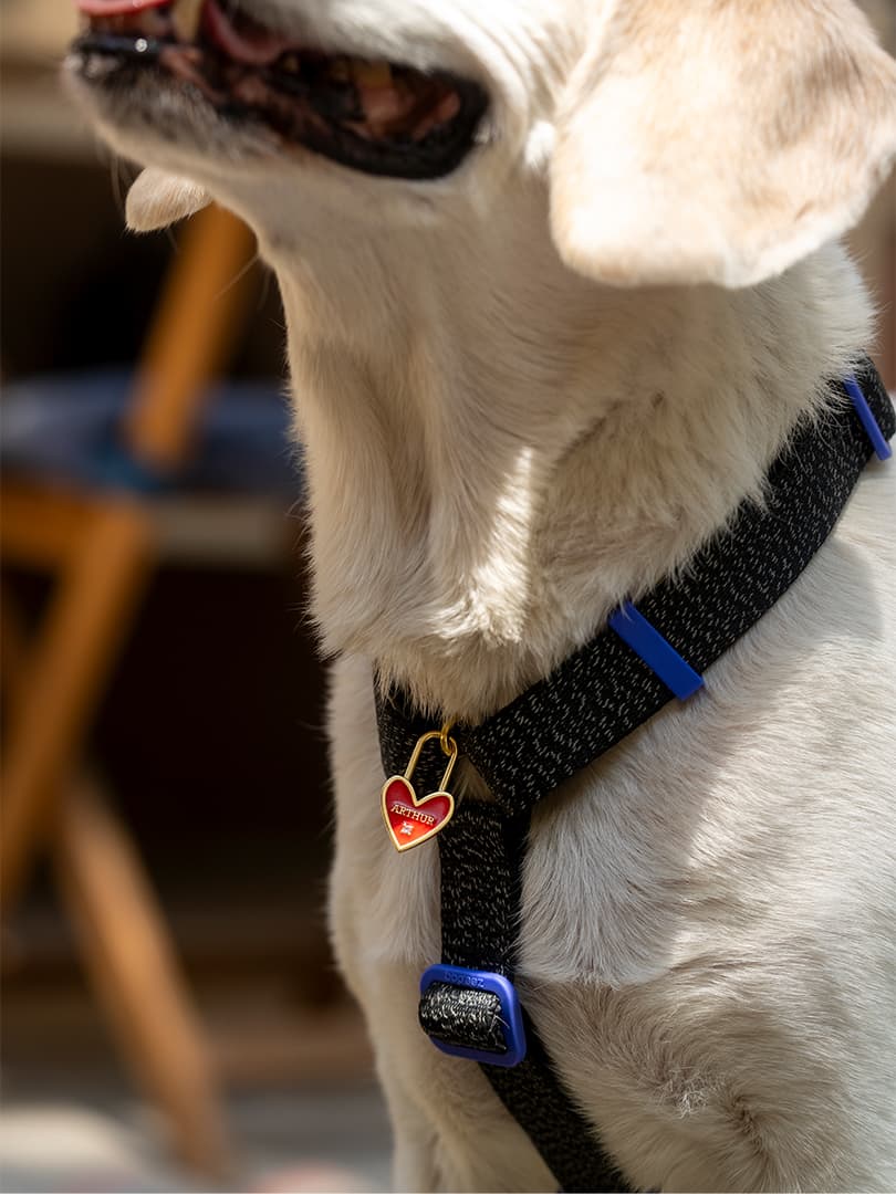 YAZ JEWELLERY - Image 9-2